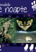 Animalele de noapte