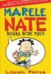 Marele Nate. Intaiul intre pusti (Lincoln Peirce)