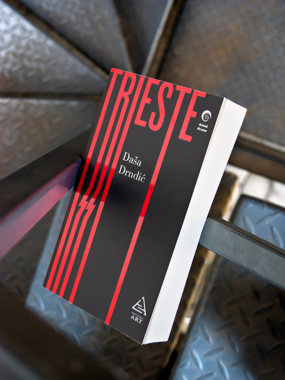 Trieste, Dasa Drndic, Editura ART