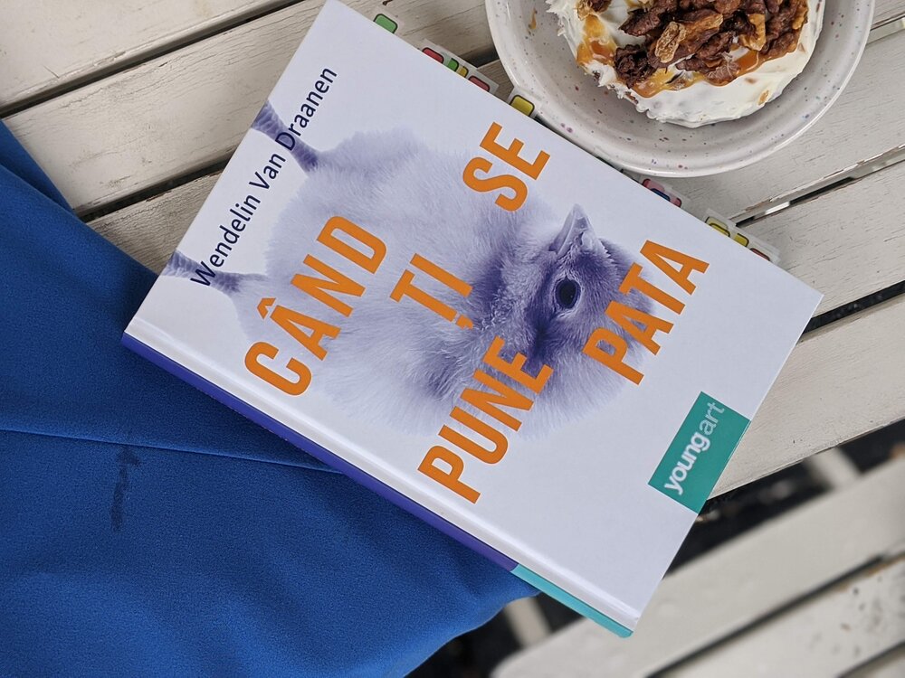 Cand ti se pune pata, Wendelin Van Draanen, Editura Youngart