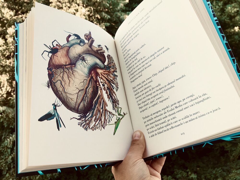 Poetul la New York, Federico García Lorca, Editura ART