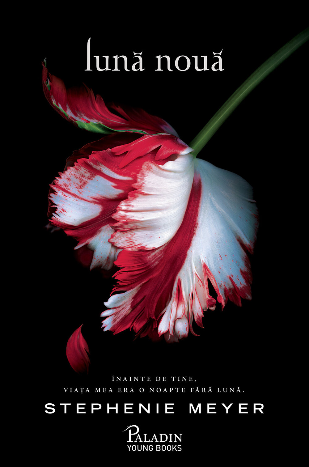 Amurg 2. Luna noua, Stephenie Meyer, Editura Paladin
