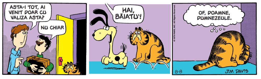 Cadre cu motanul Garfield